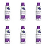 Beira Alta Zero Acetona Remov Esmaltes Uva 90ml (kit C/06)