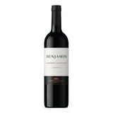 Benjamin Nieto Senetiner Cabernet Sauvignon Vinho Argentino Tinto 750ml