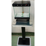 Beteira 4 Litros - Com Iluminação Betta Color - Lançamento