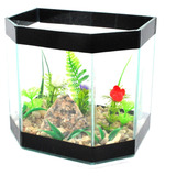 Beteira Robby Grande Decorada