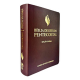 Bíblia De Estudo Pentecostal Edição Global Letras Grandes Com Palavras De Jesus Em Vermelho Capa Luxo Vinho