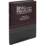 Bíblia De Estudo Plenitude | Almeida Revista E Corrigida | Capa Luxo Vinho