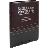 Bíblia De Estudo Plenitude Capa Couro