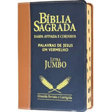 Bíblia Jumbo Letra Extra Gigante E Harpa Corrigida Duotone
