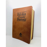 Bíblia Sagrada De Estudo Do Pregador Pentecostal Marrom De Couro Legitimo Sem Índice Lateral
