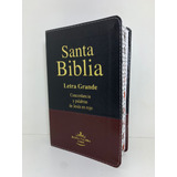 Biblia Sagrada Em Espanhol Santa Biblia