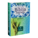 Bíblia Sagrada Letra Gigante - Capa Ilustrada Trigo: Nova Tradução Na Linguagem De Hoje (ntlh), De Sociedade Bíblica Do Brasil. Editora Sociedade Bíblica Do Brasil, Capa Mole Em Português, 2013