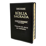 Biblia Sagrada Letra Gigante Luxo Popular - Preto - C/harpa