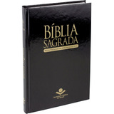 Bíblia Sagrada Nova Tradução Na Linguagem