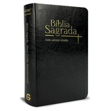 Bíblia Sagrada Nvi | Letra Grande Com Cantor Cristão | Preta