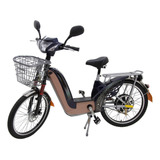 Bicicleta Elétrica Scooter Eco 350w 48 Volts 12ah Sousa Bike