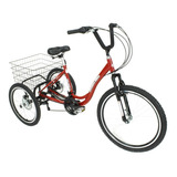 Bicicleta Triciclo Aro 26 Com