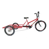 Bicicleta Triciclo De Carga Traseira Big - 7 Vel. - 6 Cores*