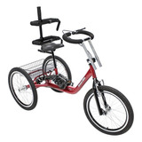 Bicicleta Triciclo Infantil Especial Adaptado Aro