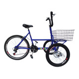 Bicicleta Triciclo Invertido Aro 26 -