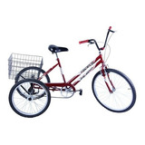Bike Bicicleta Triciclo Adulto Aro 20