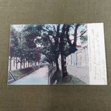 Bilhete Postal Da Av. 15 De Novembro - Joinville