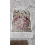 Bilhete Postal Serviço De Informação Agrícola De 1959