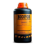 Biofor Desinfetante Sanitizante Iodofor 1lt