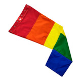 Biruta Lgbt Arco Iris Indicador De Vento 30cm Aeroind