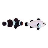 Peixes