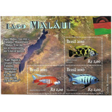 Bloco 158 Fauna Peixes África Lago De Malaui 2010