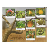 Bloco B-196 Brasil 2016 Frutas Do Cerrado