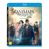 Blu-ray - Animais Fantásticos E Onde Habitam