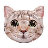 Bóia Colchão Inflável Para Piscina Gato Intex