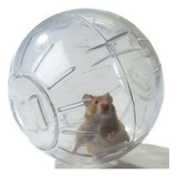 Hamster