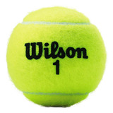 Bola De Tênis Wilson Championship - Bolinha Avulsa - Pet
