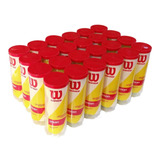 Bola De Tenis Wilson Championship - Pack 72 Bolas - 24 Tubos