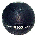 Ls3004-8