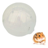 Bola Para Hamster Roedores Ball Brinquedo