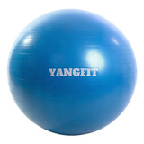 Bola Pilates Suíça Exercícios Yoga 75cm Com Bomba De Inflar Yangfit Azul