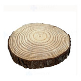 Bolacha Madeira Arvore 20 A 25cm Rustica Jardim Tronco Tabua