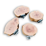 Calopsitas