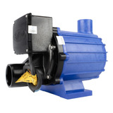 Bomba 1/3 Cv Syllent Silenciosa P/ Banheira De Hidromassagem