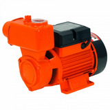 Bivolt