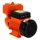 Bivolt