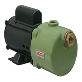 Bomba Autoaspirante Schneider Asp-98 0,5cv Monofasica 220v C
