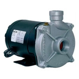 Bomba Centrífuga Cam-w10 2 Cv 220/380v Trifásica Dancor Cor Cinza Frequência 60 Hz 220v/380v