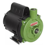 Bomba Centrífuga Schneider Bc-98 0.5cv Cor Verde 60hz 127v