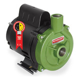 Bomba Centrífuga Schneider Bc-98 1/2cv (0,5hp) Monofásica