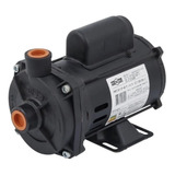 Bomba Dágua Centrifuga Cp-4r Monofásica Dancor 1/2cv Bivolt Cor Preto Frequência 60 Hz 127v/220v - 254v