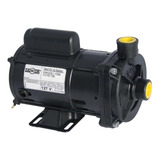 Bivolt