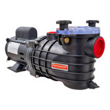 Bomba De Piscina Schneider 1/3cv Até 40 Mil Litros Motor Weg