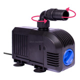 220v