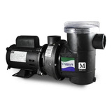 Bomba Para Piscina 1/2cv Sibrape Motor Weg He Eixo Inox