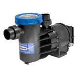 Bomba Para Piscina Com Pré Filtro Autoesc 1/3cv 220v Syllent